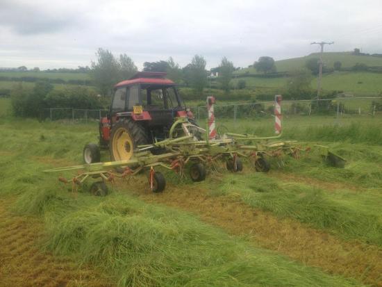 Claas tedder