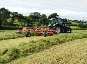 Rowing grass